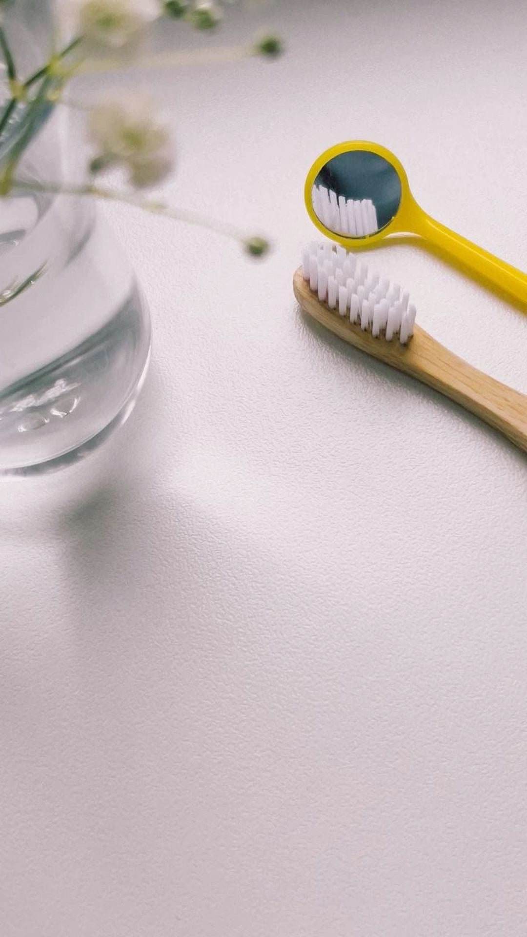 Evaluación Odontología Biológica